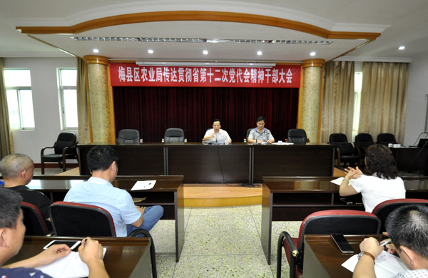 1496883280702665.jpg 1.jpg