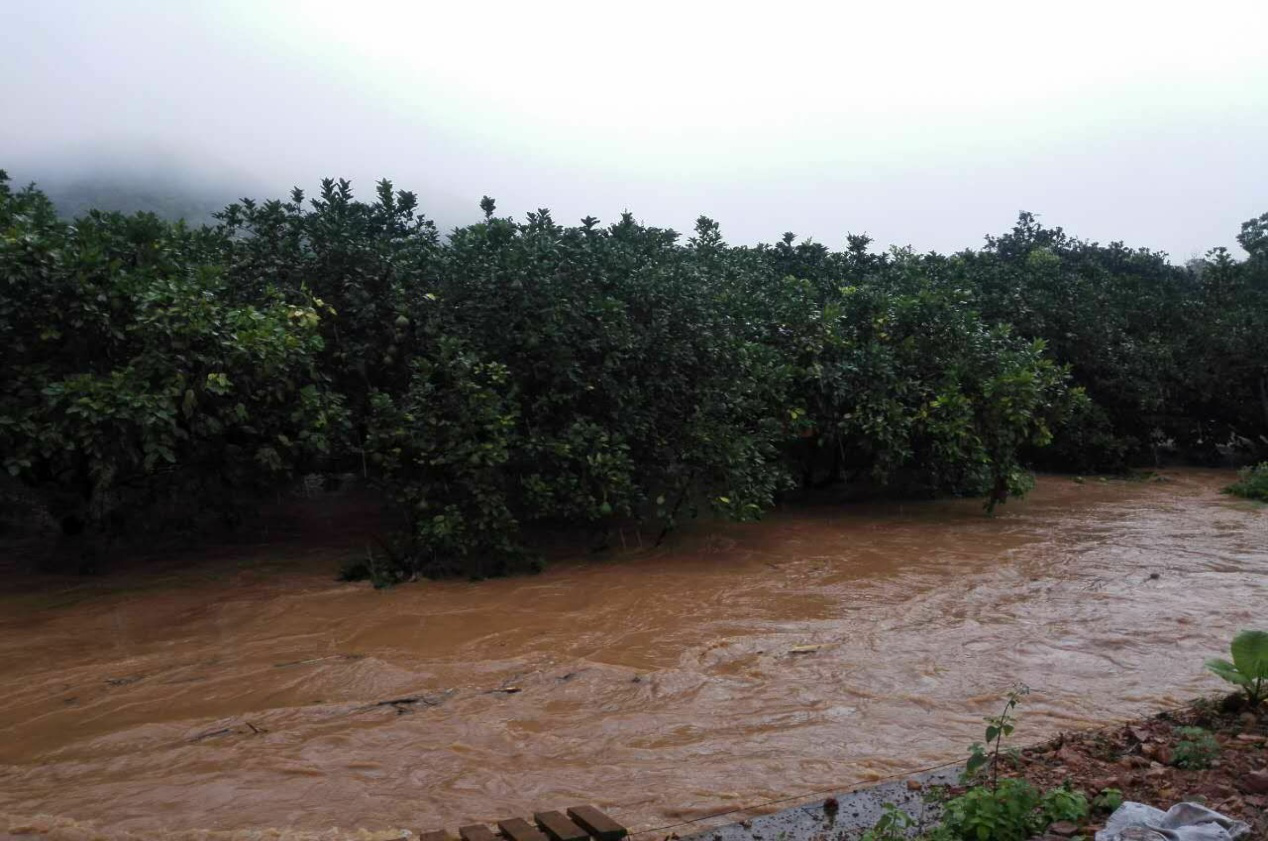 1498006028965202.png 1498006028965202.png