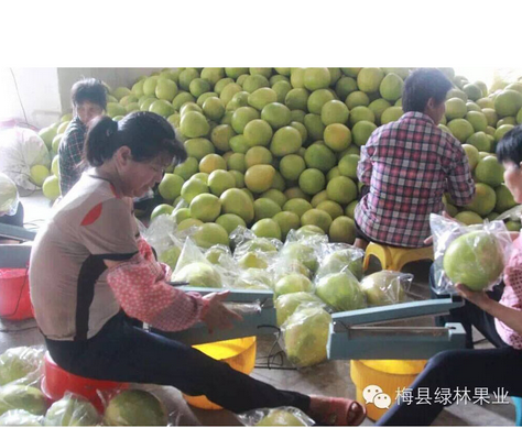 1498102794644486.jpg 1498092496(1).jpg