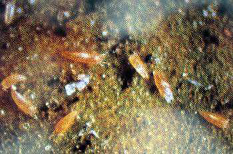 1502092996254532.jpg 1.jpg