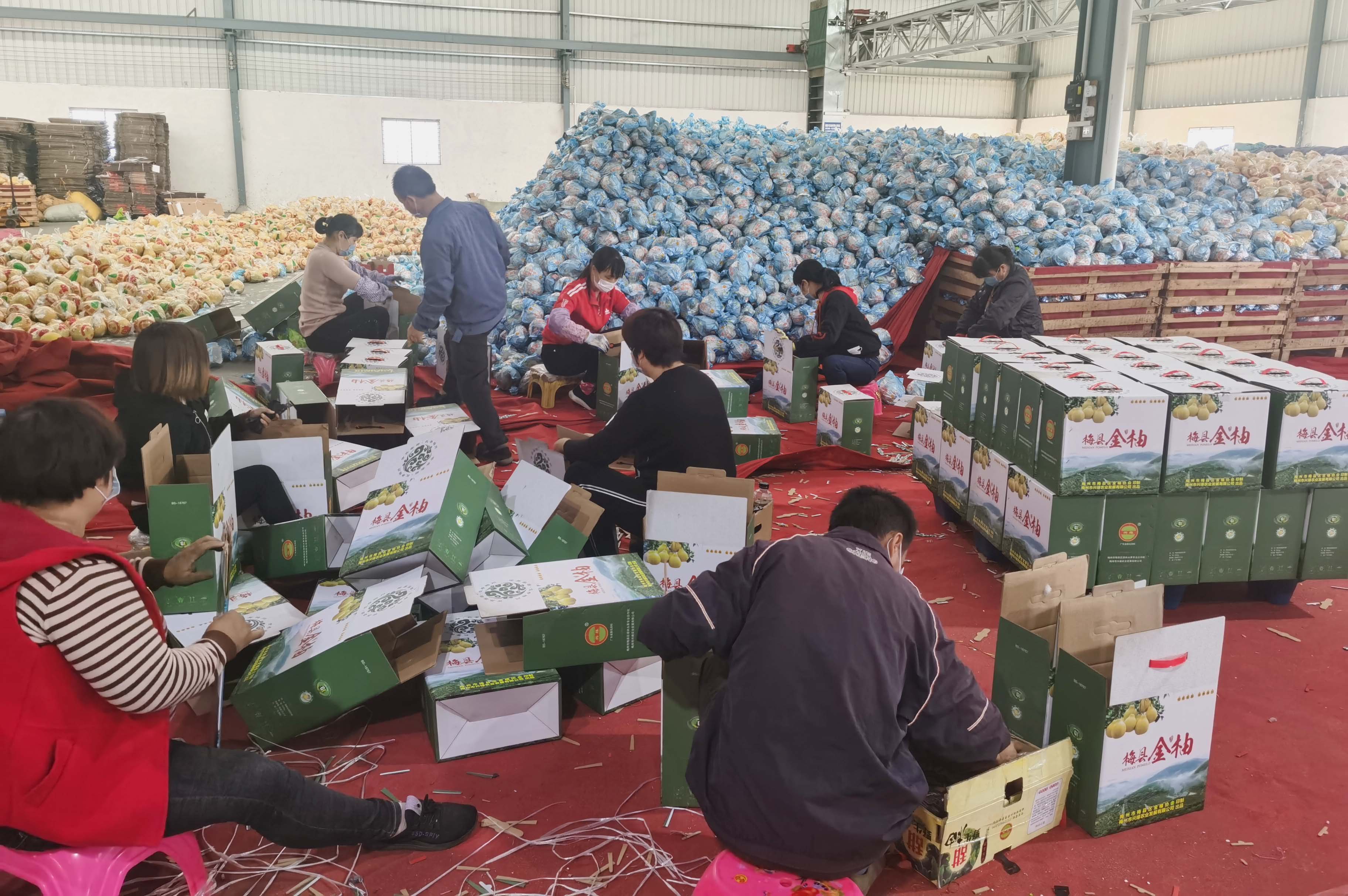 1586135248466851.jpg ab883deff52a81084ab072aca9e3bc0.jpg