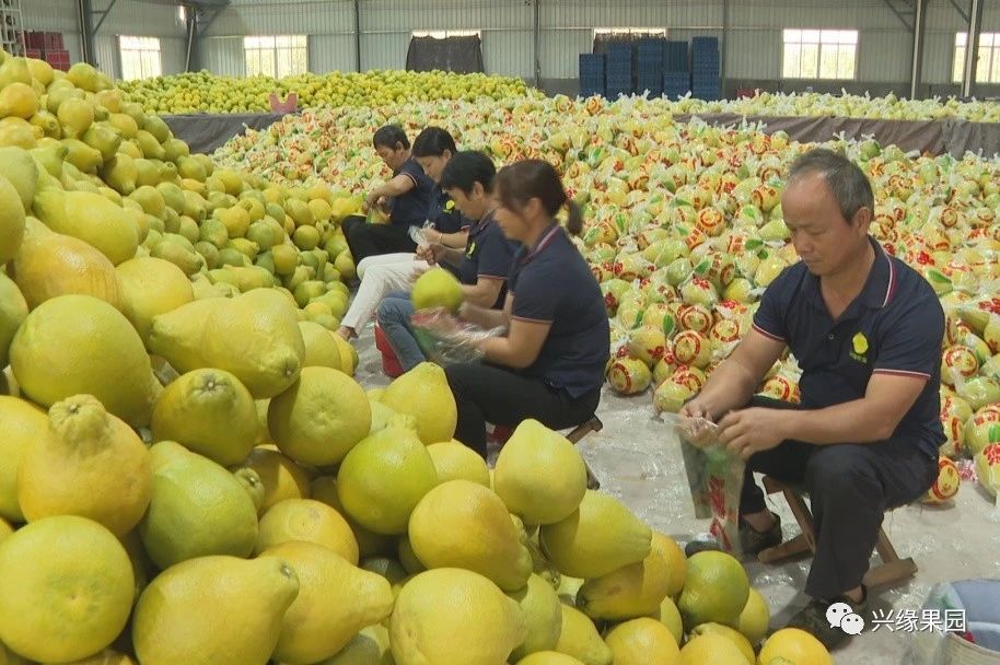 1738910898732314.jpg 2-4.jpg