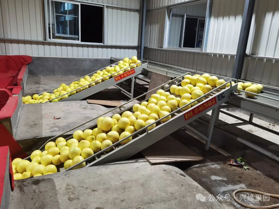 1738911790605328.jpg 4-2.jpg