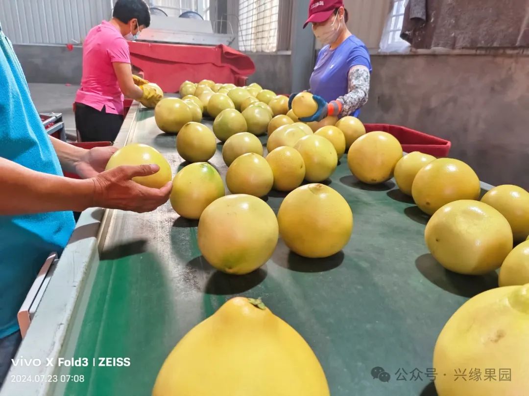 1738911819404842.jpg 4-3.jpg