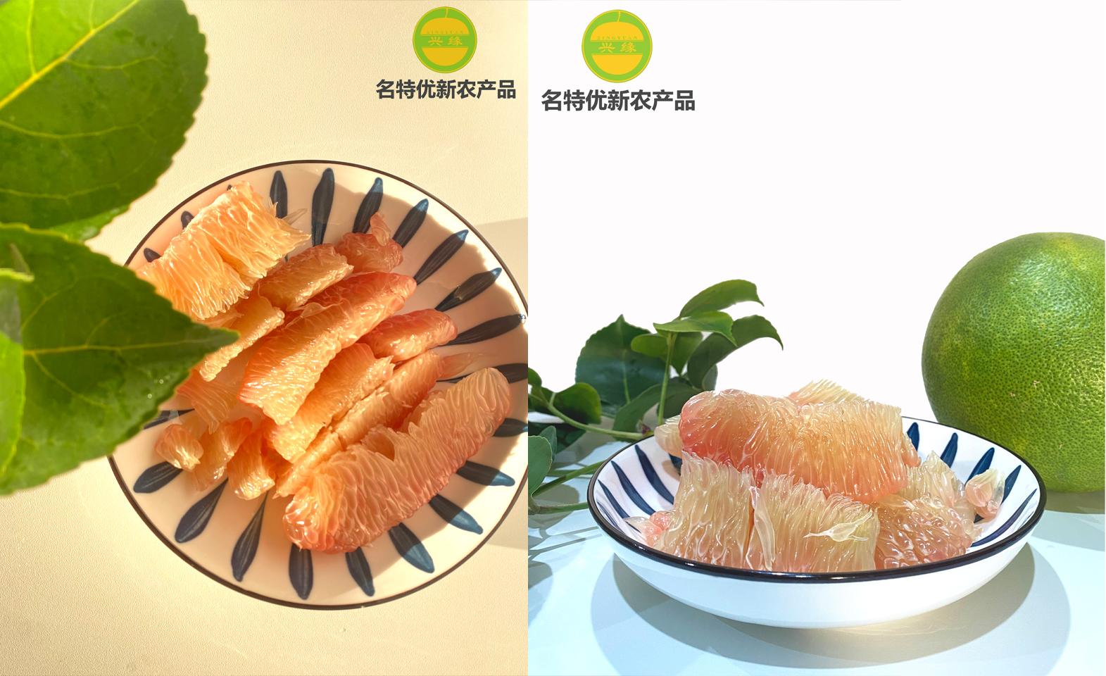 1739004428485742.jpg 微信图片_20250208164256.jpg