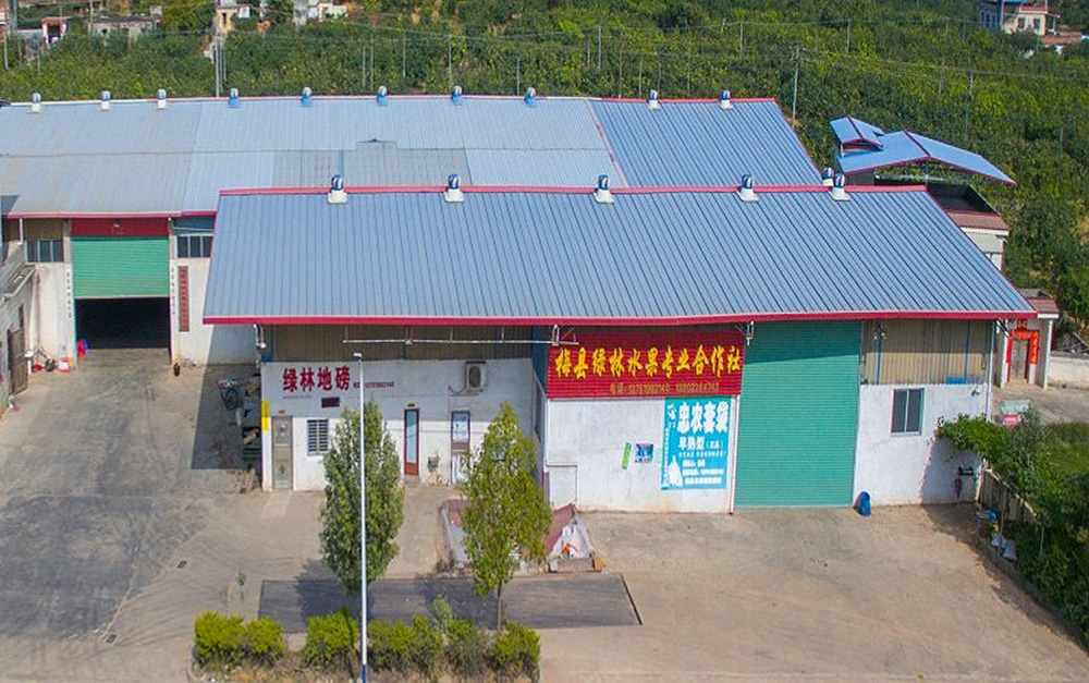 1739147775524858.jpg 微信图片_20250210082938.jpg